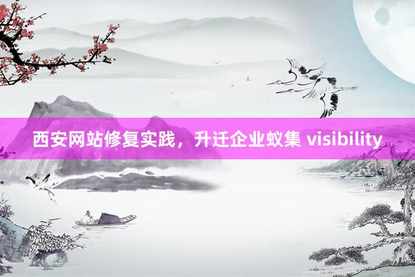 西安网站修复实践，升迁企业蚁集 visibility
