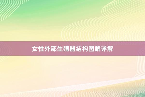 女性外部生殖器结构图解详解