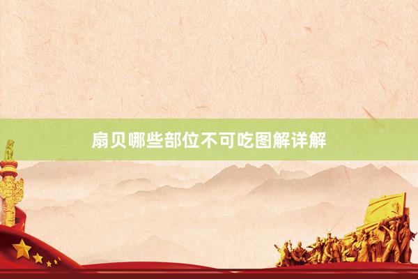 扇贝哪些部位不可吃图解详解