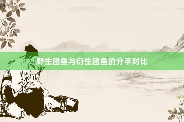 野生团鱼与衍生团鱼的分手对比